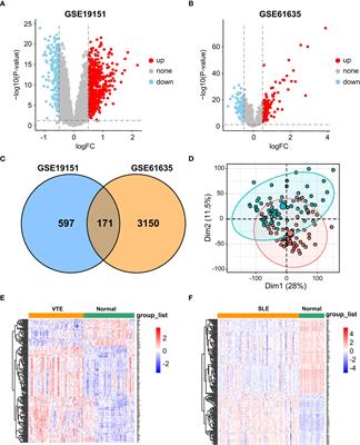 Comprehensive bioinformatics analysis reveals the crosstalk genes and immune relationship between the systemic lupus erythematosus and venous thromboembolism